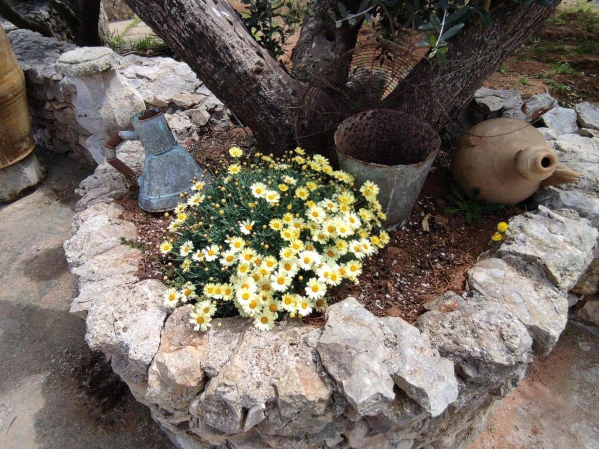 מונטרוני די לצ'ה Villa Sargheruoli מראה חיצוני תמונה