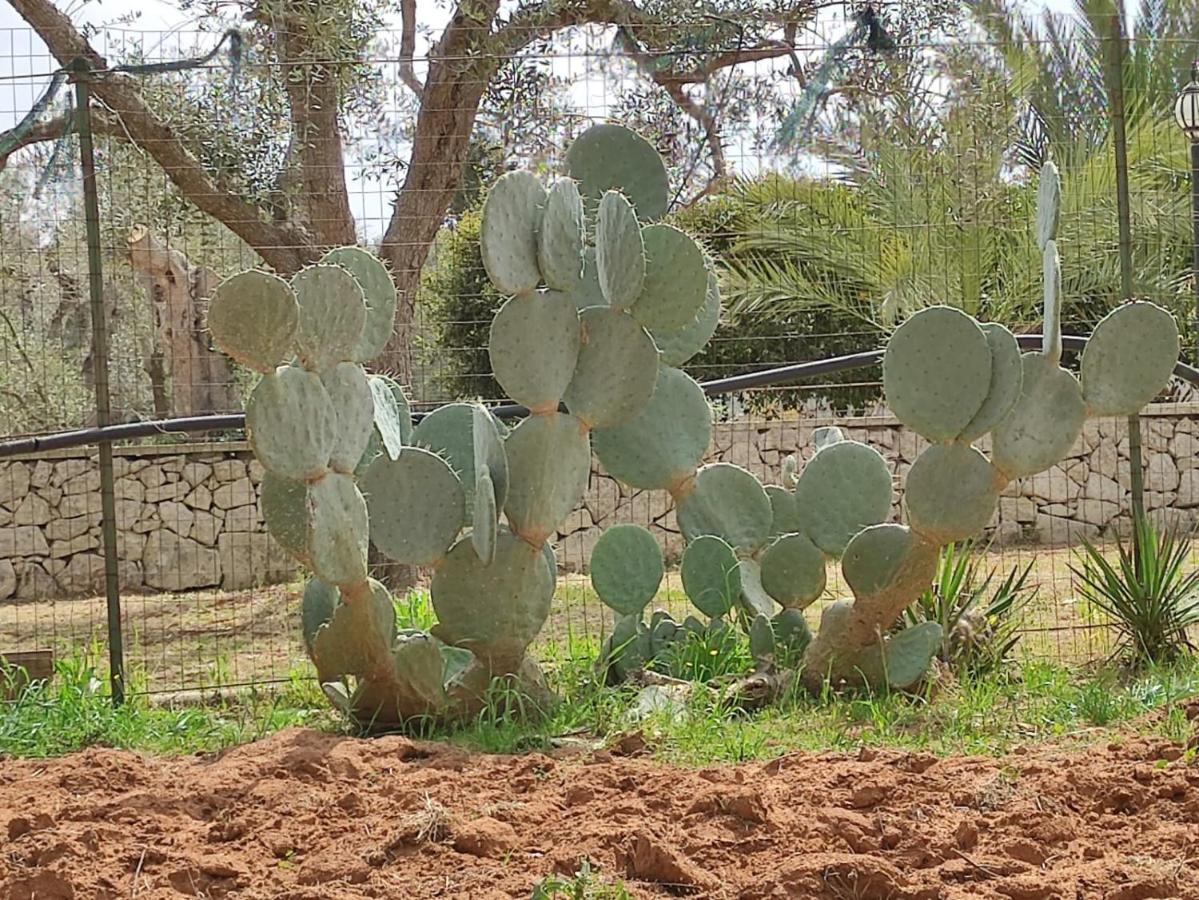 מונטרוני די לצ'ה Villa Sargheruoli מראה חיצוני תמונה