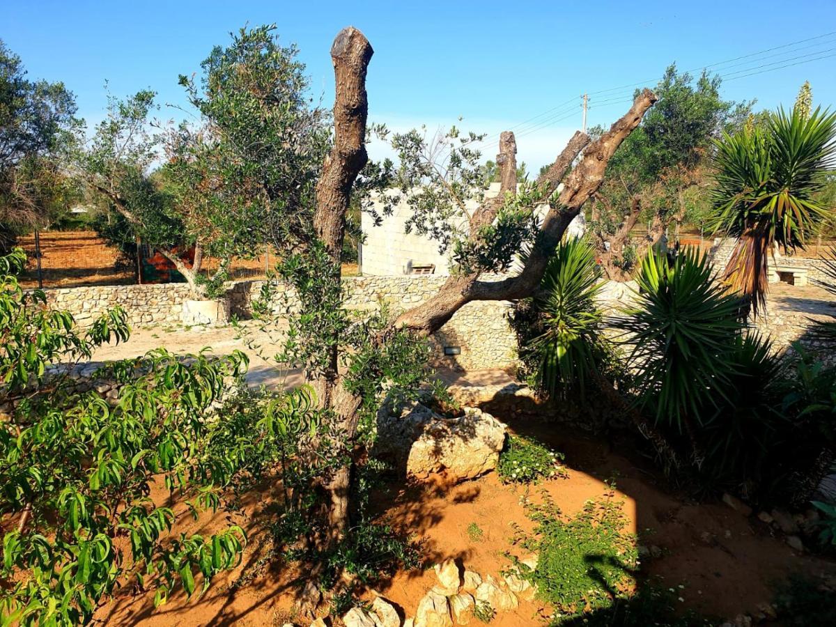 מונטרוני די לצ'ה Villa Sargheruoli מראה חיצוני תמונה