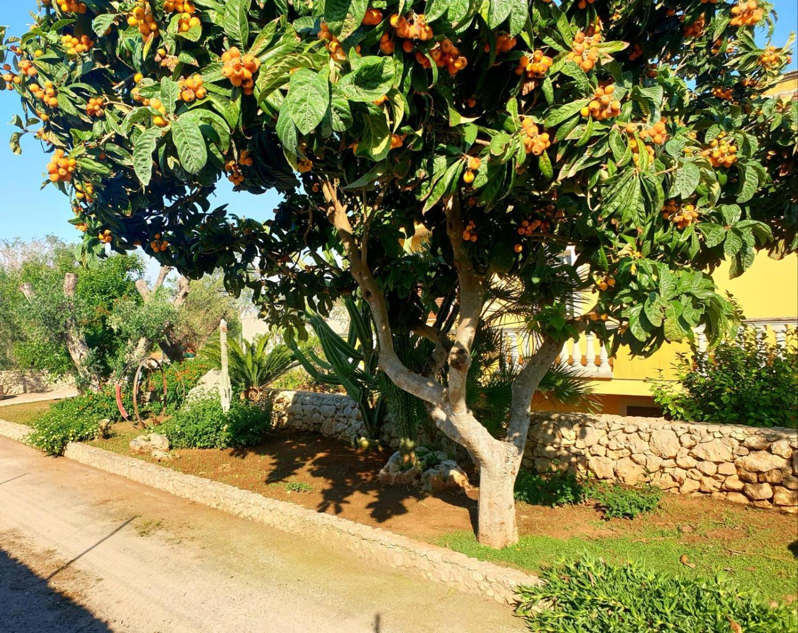 מונטרוני די לצ'ה Villa Sargheruoli מראה חיצוני תמונה