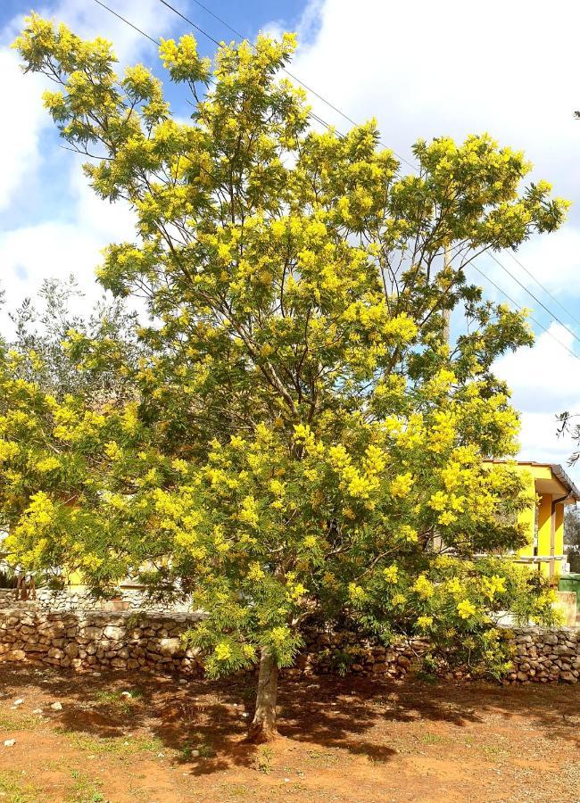 מונטרוני די לצ'ה Villa Sargheruoli מראה חיצוני תמונה