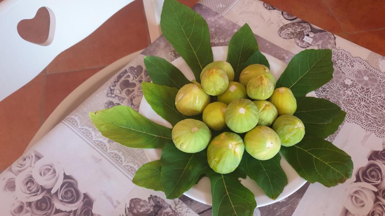 מונטרוני די לצ'ה Villa Sargheruoli מראה חיצוני תמונה